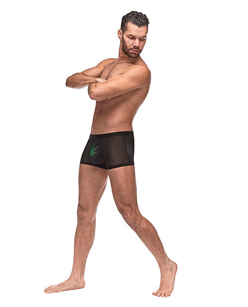 Private Screening Micro Mesh & Modal Pot Leaf Black MD