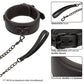 Nocturnal Collection Detachable Collar & Leash - Black