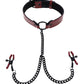 Saffron Collar w/Chain Nipple Clamps
